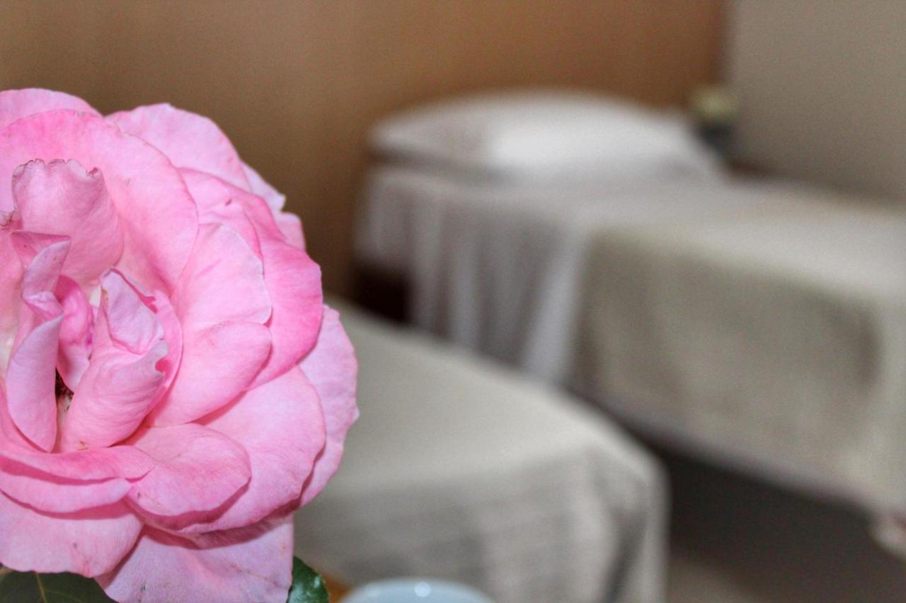 Hotel Ristorante L'Avvenire ジッツェリーア エクステリア 写真